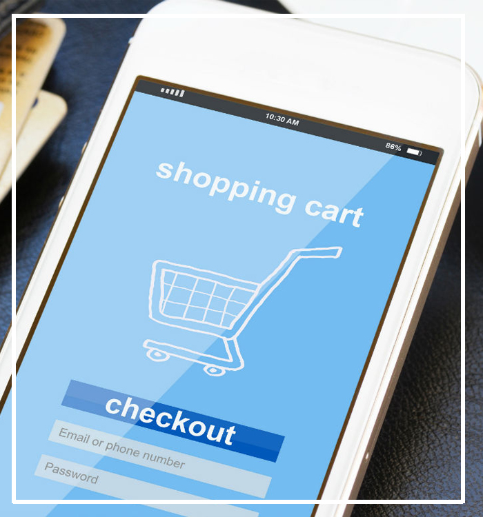 Webinsignia - Plan Ecommerce