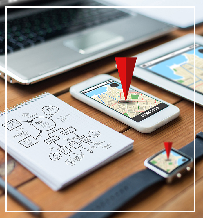 Webinsignia - Plan Profesional